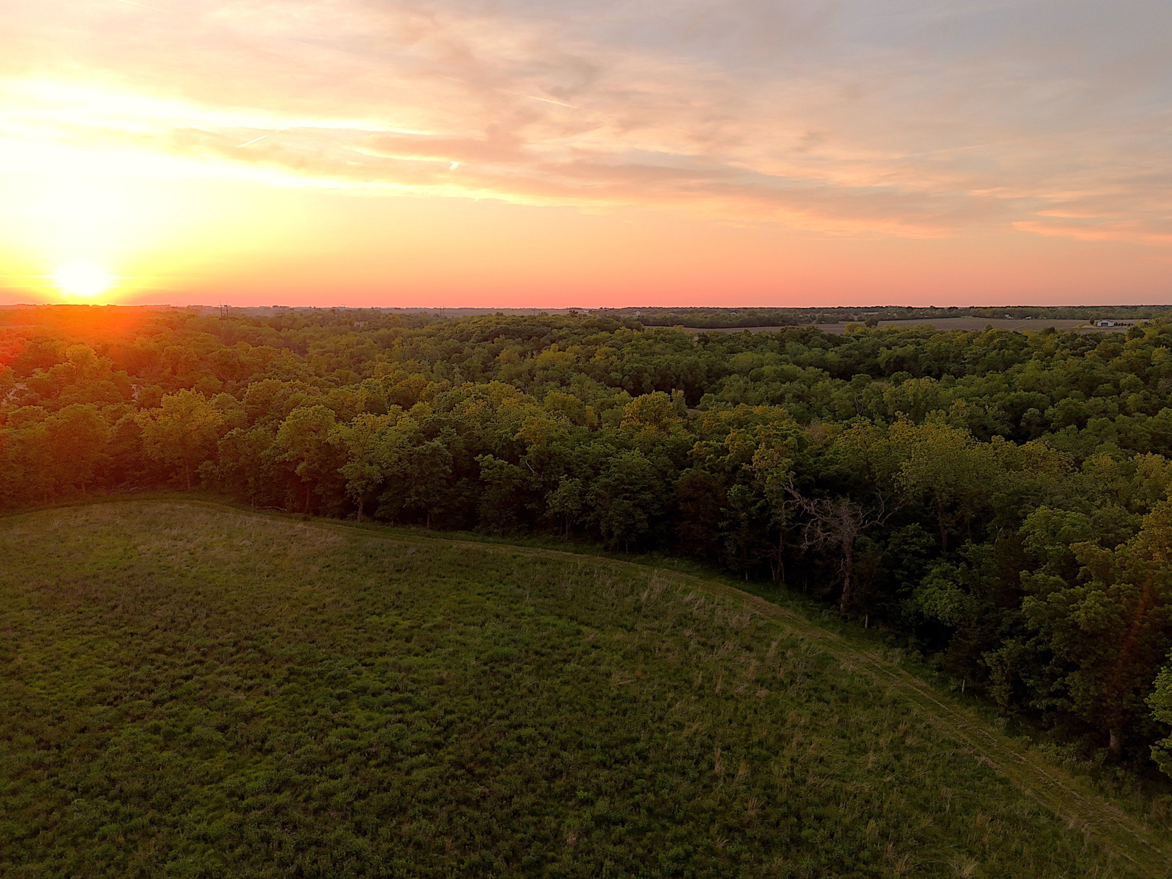 Listing Photo: ss treeline small tract II